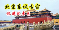 操女视频中国北京-东城古宫旅游风景区